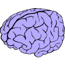 download Brain clipart image with 225 hue color