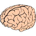 download Brain clipart image with 0 hue color
