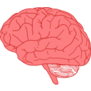 download Brain In Profile clipart image with 0 hue color