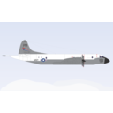 Lockheed P 3 Orion Aircraft Color