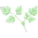 download Chervil clipart image with 135 hue color