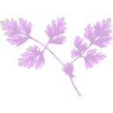 download Chervil clipart image with 315 hue color