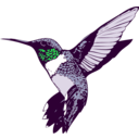 download Ruby Throated Hummingbird clipart image with 135 hue color