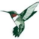 download Ruby Throated Hummingbird clipart image with 0 hue color