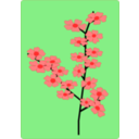 download Flower Flowers Sakura clipart image with 0 hue color