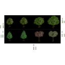 download Isometric Tree clipart image with 0 hue color