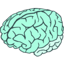 download Brain 2colors clipart image with 135 hue color