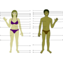 download Human Body Both Genders With Numbers clipart image with 45 hue color