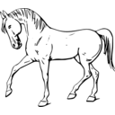 download Walking Horse Outline clipart image with 225 hue color