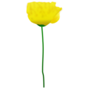 download Poppy Flower clipart image with 45 hue color