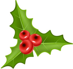 Houx Holly