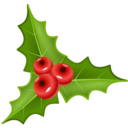 download Houx Holly clipart image with 0 hue color