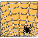 Spider On A Spider Web