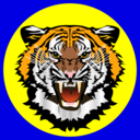 Tiger Yellow On Blue