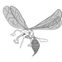 download Freehand Mosquito clipart image with 225 hue color