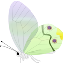 download Transp Butterfly clipart image with 45 hue color