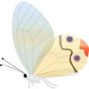 download Transp Butterfly clipart image with 0 hue color