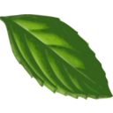 Mint Leaf Traced