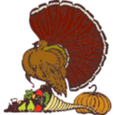 Turkey And Harvest