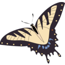 download Butterfly Papillon clipart image with 0 hue color