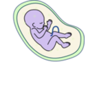 download Human Embryo clipart image with 225 hue color