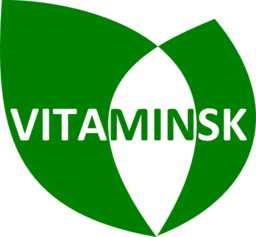 Vita Minsk