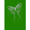 download Bright Butterfly clipart image with 225 hue color