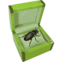 download Beetle In A Box clipart image with 45 hue color