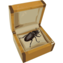 download Beetle In A Box clipart image with 0 hue color