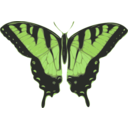 download Butterfly Papilio Turnus Top View clipart image with 45 hue color
