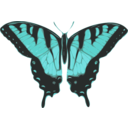 download Butterfly Papilio Turnus Top View clipart image with 135 hue color